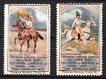 Austria, 'Official Stamps for the Benefit of the Red Cross, the War Relief Office and the War Measures Office', World War I Military Propaganda
