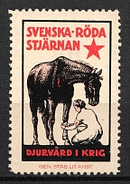 1915 Sweden, Swedish Red Star, 'Animal Care', World War I