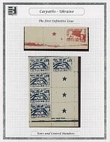 Carpatho - Ukraine - Soviet issues - Collection - 1945, Exhibition style pages bearing 215 mint stamps in singles, pairs, strips, positional blocks with and without control numbers, color errors of ''100'' and ''200'', …
