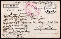 1916 (14 Apr) '1915 PAX. It is the property of the 'Red Cross Society' Hospital on the Danube', World War I Military Fieldpost Feldpost Postcard from Budapest (Hungary)