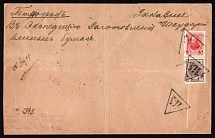 Lvov, Russian occupation of Galicia, (cur. Ukraine). Mute commercial registered cover to Petrograd, Mute postmark cancellation