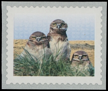 Canada - Modern Errors and Varieties - 2014, Burrowing Owl, ($1.00) multicolored, a self-adhesive single with yellow color (inscription and denomination) omitted, backing paper intact, VF, C.v. $500, Unitrade C.v. CAD$600, Scott …