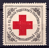 Yekaterinoslav, In Favor of a Mobile Hospital, Red Cross, Russia