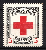 Austria, Red Cross, 'Salzburg Joined Forces', World War I Military Propaganda
