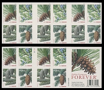 United States - Modern Errors and Varieties - 2010, Christmas issue, Coniferous, self-adhesive ''Forever'' (44c) in complete two-side booklet of 20 stamps, pane of 12 values has die cutting omitted, VF, C.v. $400, Scott #4481d…