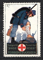 Denmark, 'Red Cross' (NKS Norske Kvinners Sanitetsforening), Worl War I
