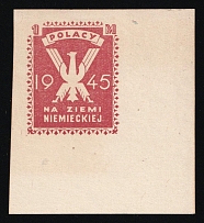 1945 Helmstedt, Poland, DP Camp, Displaced Persons Camp (Wilhelm 9 II, Imperforate, Corner Margin, CV $60)